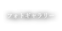 フォトギャラリー